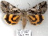  ( - 2606-COI-08)  @14 [ ] Unspecified (default): All Rights Reserved  Unspecified Unspecified