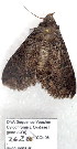 ( - 2620-COI-08)  @12 [ ] Unspecified (default): All Rights Reserved  Unspecified Unspecified