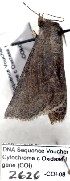  ( - 2626-COI-08)  @11 [ ] Unspecified (default): All Rights Reserved  Unspecified Unspecified