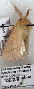  ( - 2628-COI-08)  @12 [ ] Unspecified (default): All Rights Reserved  Unspecified Unspecified