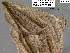  ( - 3505-COI-08)  @12 [ ] Unspecified (default): All Rights Reserved  Unspecified Unspecified