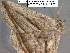  ( - 3506-COI-08)  @12 [ ] Unspecified (default): All Rights Reserved  Unspecified Unspecified