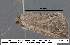  ( - 3545-COI-08)  @13 [ ] Unspecified (default): All Rights Reserved  Unspecified Unspecified