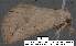 ( - 3555-COI-08)  @12 [ ] Unspecified (default): All Rights Reserved  Unspecified Unspecified