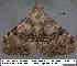  ( - 3560-COI-08)  @13 [ ] Unspecified (default): All Rights Reserved  Unspecified Unspecified