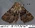 ( - 3561-COI-08)  @13 [ ] Unspecified (default): All Rights Reserved  Unspecified Unspecified