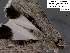  ( - 3596-COI-08)  @11 [ ] Unspecified (default): All Rights Reserved  Unspecified Unspecified