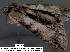  ( - 3599-COI-08)  @13 [ ] Unspecified (default): All Rights Reserved  Unspecified Unspecified