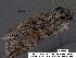 ( - 3600-COI-08)  @13 [ ] Unspecified (default): All Rights Reserved  Unspecified Unspecified