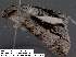  ( - 3601-COI-08)  @13 [ ] Unspecified (default): All Rights Reserved  Unspecified Unspecified