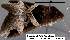  ( - 3622-COI-08)  @12 [ ] Unspecified (default): All Rights Reserved  Unspecified Unspecified
