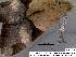  ( - 3623-COI-08)  @12 [ ] Unspecified (default): All Rights Reserved  Unspecified Unspecified