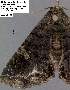  ( - 3632-COI-08)  @12 [ ] Unspecified (default): All Rights Reserved  Unspecified Unspecified