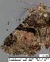  ( - 3633-COI-08)  @12 [ ] Unspecified (default): All Rights Reserved  Unspecified Unspecified