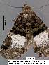  ( - 3635-COI-08)  @12 [ ] Unspecified (default): All Rights Reserved  Unspecified Unspecified