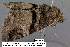  ( - 3636-COI-08)  @13 [ ] Unspecified (default): All Rights Reserved  Unspecified Unspecified