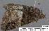  ( - 3637-COI-08)  @13 [ ] Unspecified (default): All Rights Reserved  Unspecified Unspecified