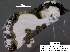  ( - 3639-COI-08)  @13 [ ] Unspecified (default): All Rights Reserved  Unspecified Unspecified