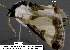  ( - 3640-COI-08)  @13 [ ] Unspecified (default): All Rights Reserved  Unspecified Unspecified