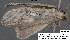  ( - 3675-COI-08)  @12 [ ] Unspecified (default): All Rights Reserved  Unspecified Unspecified
