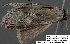  ( - 3689-COI-08)  @12 [ ] Unspecified (default): All Rights Reserved  Unspecified Unspecified