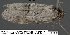  ( - 3690-COI-08)  @12 [ ] Unspecified (default): All Rights Reserved  Unspecified Unspecified