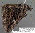  ( - 3757-COI-08)  @13 [ ] Unspecified (default): All Rights Reserved  Unspecified Unspecified