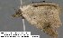  ( - 3765-COI-08)  @13 [ ] Unspecified (default): All Rights Reserved  Unspecified Unspecified
