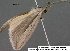  ( - 3774-COI-08)  @12 [ ] Unspecified (default): All Rights Reserved  Unspecified Unspecified