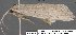  ( - 3776-COI-08)  @12 [ ] Unspecified (default): All Rights Reserved  Unspecified Unspecified