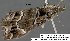  ( - 3794-COI-08)  @12 [ ] Unspecified (default): All Rights Reserved  Unspecified Unspecified