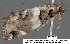  ( - 3797-COI-08)  @13 [ ] Unspecified (default): All Rights Reserved  Unspecified Unspecified