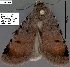  ( - 3887-COI-08)  @13 [ ] Unspecified (default): All Rights Reserved  Unspecified Unspecified