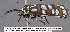  ( - 3919-COI-08)  @14 [ ] Unspecified (default): All Rights Reserved  Unspecified Unspecified