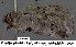  ( - 3935-COI-08)  @12 [ ] Unspecified (default): All Rights Reserved  Unspecified Unspecified
