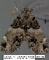  ( - 3939-COI-08)  @13 [ ] Unspecified (default): All Rights Reserved  Unspecified Unspecified
