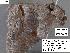  ( - 1569-COI-07)  @12 [ ] Unspecified (default): All Rights Reserved  Unspecified Unspecified