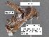  ( - 1579-COI-07)  @12 [ ] Unspecified (default): All Rights Reserved  Unspecified Unspecified