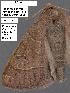  ( - 1588-COI-07)  @12 [ ] Unspecified (default): All Rights Reserved  Unspecified Unspecified