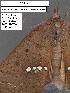  ( - 1592-COI-07)  @12 [ ] Unspecified (default): All Rights Reserved  Unspecified Unspecified