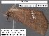  ( - 1593-COI-07)  @12 [ ] Unspecified (default): All Rights Reserved  Unspecified Unspecified