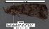  ( - 1622-COI-07)  @12 [ ] Unspecified (default): All Rights Reserved  Unspecified Unspecified