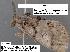  ( - 1630-COI-07)  @13 [ ] Unspecified (default): All Rights Reserved  Unspecified Unspecified