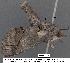 ( - 1641-COI-07)  @13 [ ] Unspecified (default): All Rights Reserved  Unspecified Unspecified