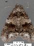  ( - 1659-COI-07)  @12 [ ] Unspecified (default): All Rights Reserved  Unspecified Unspecified