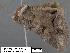  ( - 1670-COI-07)  @12 [ ] Unspecified (default): All Rights Reserved  Unspecified Unspecified