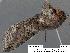  ( - 1675-COI-07)  @13 [ ] Unspecified (default): All Rights Reserved  Unspecified Unspecified