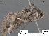  ( - 1677-COI-07)  @14 [ ] Unspecified (default): All Rights Reserved  Unspecified Unspecified