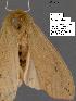  ( - 1680-COI-07)  @13 [ ] Unspecified (default): All Rights Reserved  Unspecified Unspecified