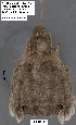  ( - 1698-COI-07)  @12 [ ] Unspecified (default): All Rights Reserved  Unspecified Unspecified